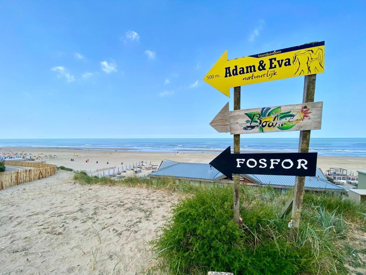 Dune Apartment Zandvoort Eksteriør bilde